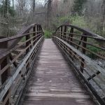 North Mills River Campground & Recreation Area