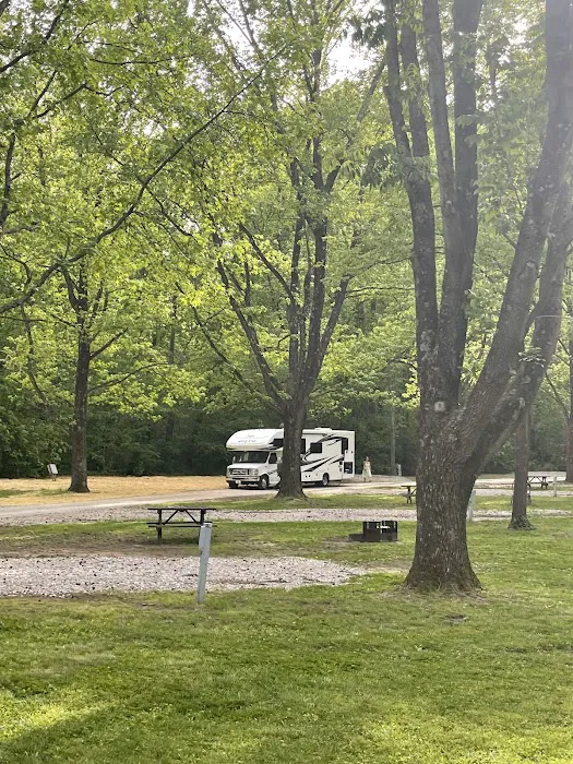 Campground 8