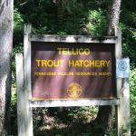 The Lodge At Green Cove & Green Cove Angler Store