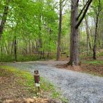 Morganton Point Campground