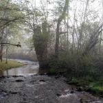 cooper creek campground