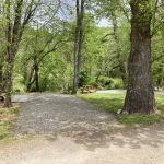 Peaceful Cove Campground
