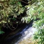 Blue Valley Campground