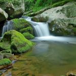 Lamar Alexander Rocky Fork State Park