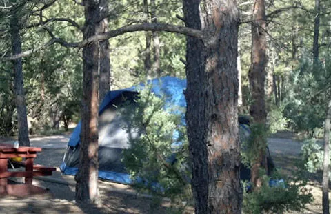 Hot Springs SD / Black Hills KOA Holiday 1