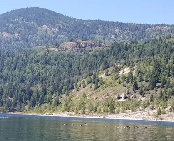 Beaver Creek Provincial Park