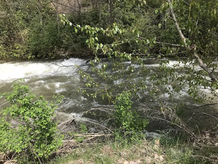 Beaver Creek Provincial Park 1
