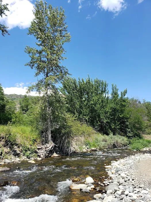 Beaver Creek Provincial Park 5