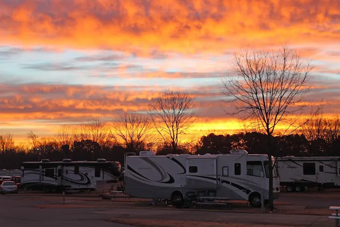 Jellystone Park™ Memphis 5