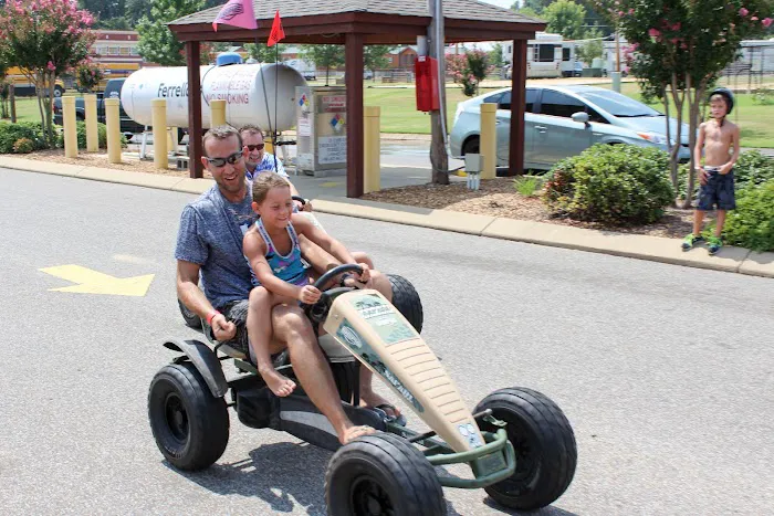 Jellystone Park™ Memphis 9
