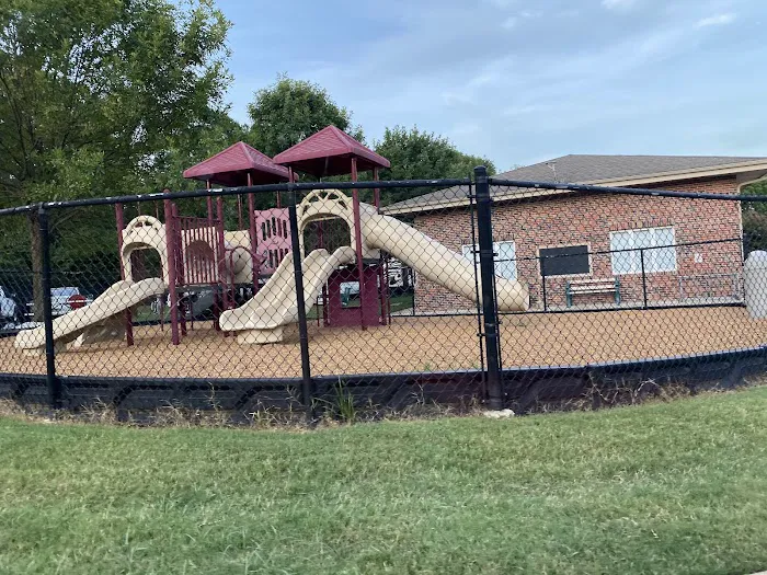 Yogi Bear's Jellystone Park 0