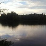 Buzzard Roost Campground