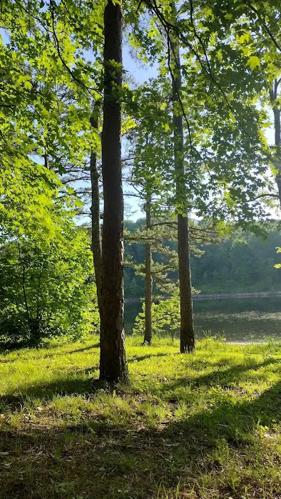 Loggers Lake Campground 1