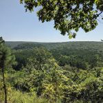 Red Bluff Campground