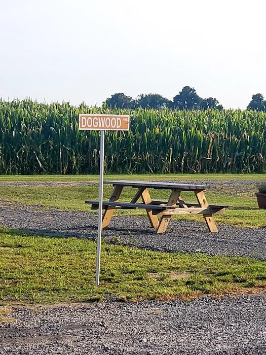 The Magnolia Campground and Store 6