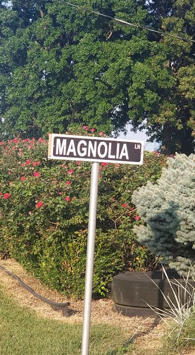 The Magnolia Campground and Store 1