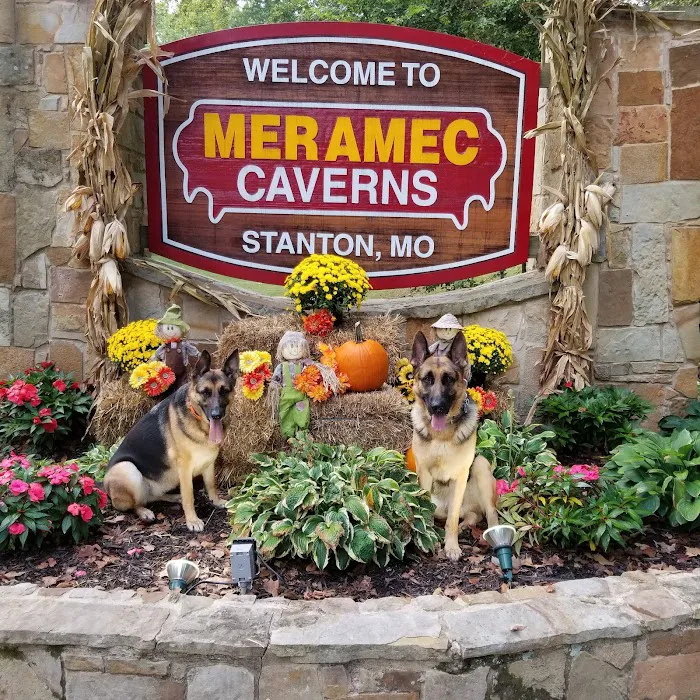Meramec Caverns Natural Campground 2