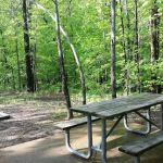 Robertsville State Park