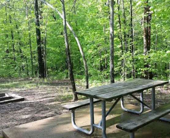 Robertsville State Park
