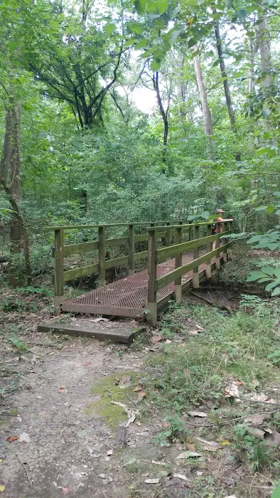 Robertsville State Park 1