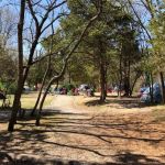 Group Camping Area, Edmund A. Babler Memorial State Park