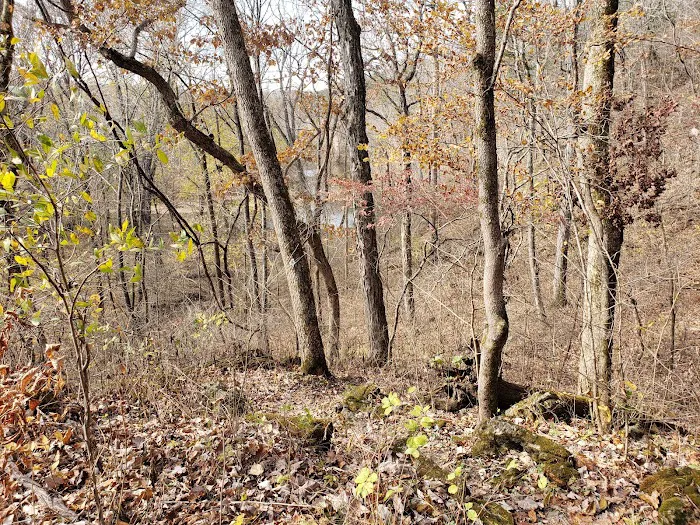 Huzzah Conservation Area 8