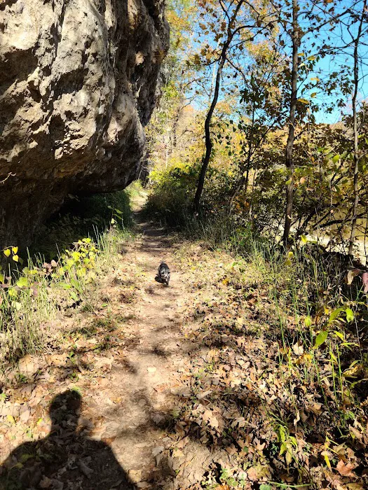 Huzzah Conservation Area 9