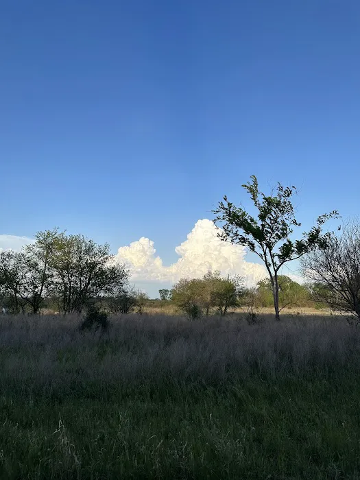 Wakonda Lake Campground 4