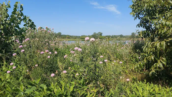 Wakonda Lake Campground 1