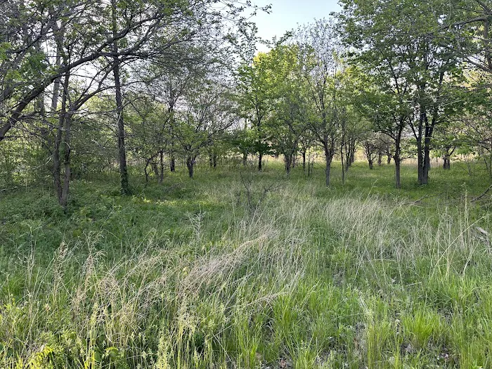 Wakonda Lake Campground 9