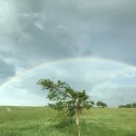 Halsted's Hideaway Campground