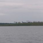 Lake View RV Park & Camp