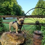 The Beautiful Rock Campground, RV, and Music Park