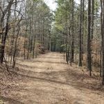 Little Tallapoosa Park
