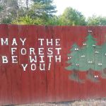 Little River Campground