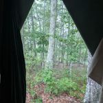 Campsite 8 (Mountain Lion)