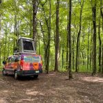 Belle and Beau Acres