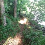 Forest Service Campsite P3