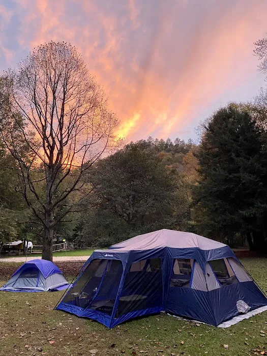 Rattler Ford Campground, Cheoah Ranger District, Nantahala National Forest 5