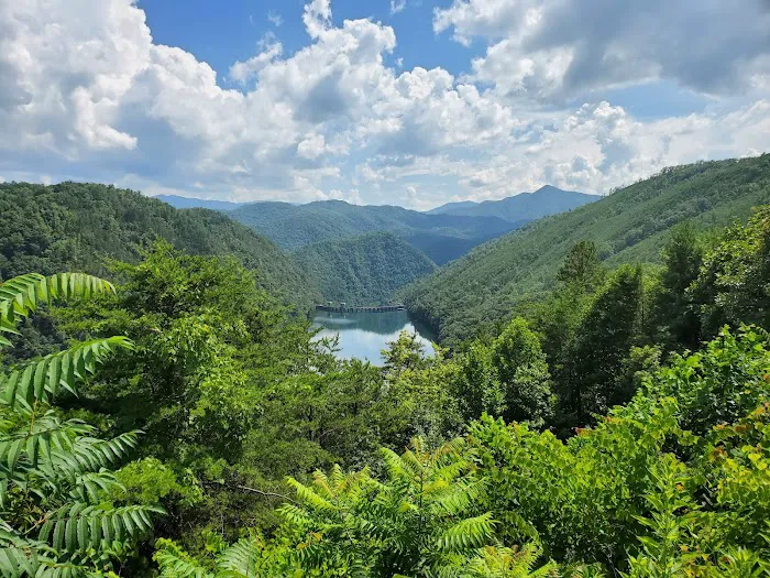 Rattler Ford Campground, Cheoah Ranger District, Nantahala National Forest 2