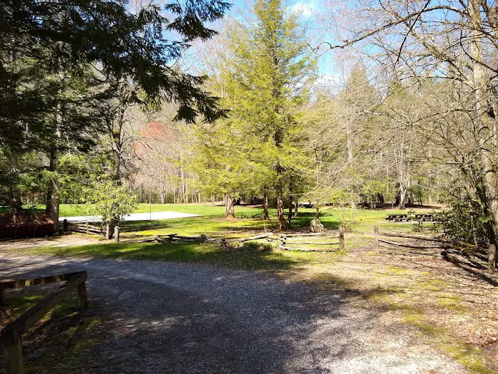Rattler Ford Campground, Cheoah Ranger District, Nantahala National Forest 9