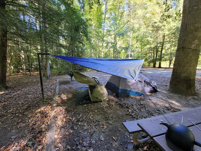 Rattler Ford Campground, Cheoah Ranger District, Nantahala National Forest 7