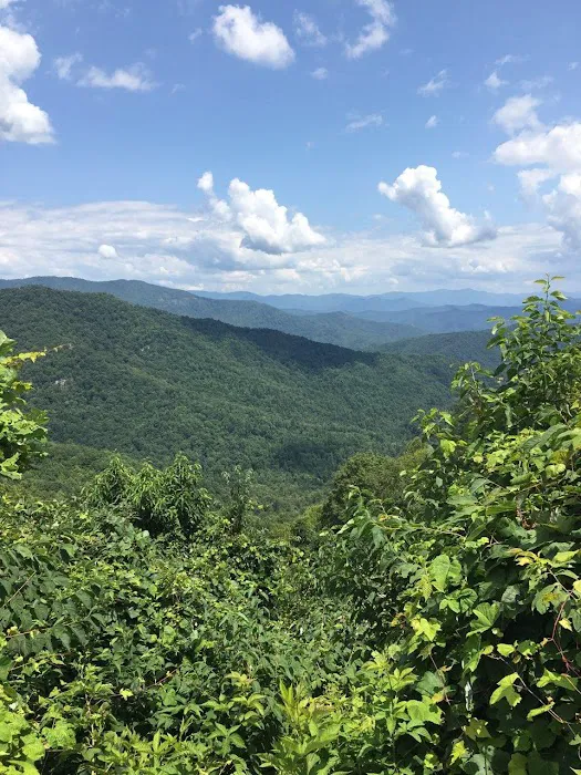 Rattler Ford Campground, Cheoah Ranger District, Nantahala National Forest 6