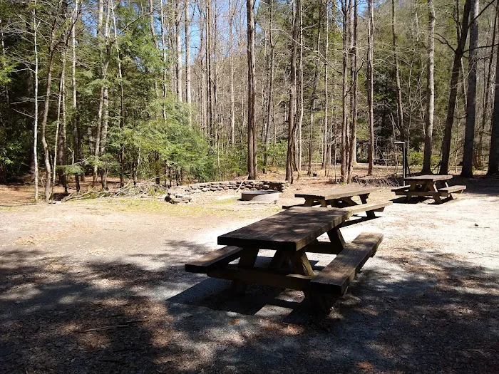 Rattler Ford Campground, Cheoah Ranger District, Nantahala National Forest 0