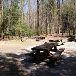 Rattler Ford Campground, Cheoah Ranger District, Nantahala National Forest