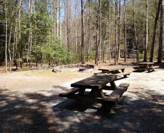 Rattler Ford Campground, Cheoah Ranger District, Nantahala National Forest