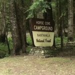 Horse Cove Campground, Cheoah Ranger District, Nantahala National Forest