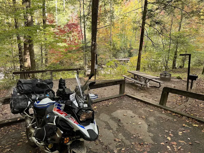 Horse Cove Campground, Cheoah Ranger District, Nantahala National Forest 6