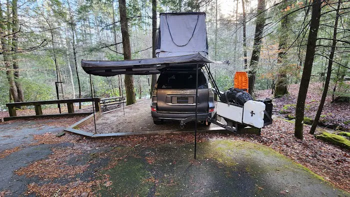 Horse Cove Campground, Cheoah Ranger District, Nantahala National Forest 8