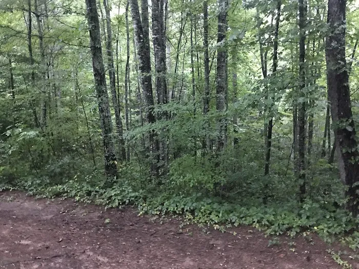 Horse Cove Campground, Cheoah Ranger District, Nantahala National Forest 2